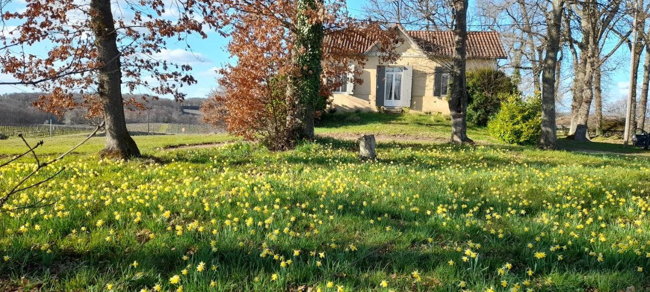 Villa Moulin de Bigorre à Saint-Genès-de-Castillon Extérieur photo