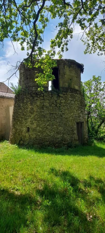 Villa Moulin de Bigorre à Saint-Genès-de-Castillon Extérieur photo