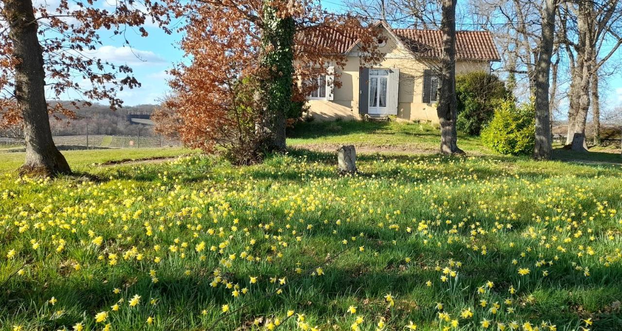 Villa Moulin de Bigorre à Saint-Genès-de-Castillon Extérieur photo